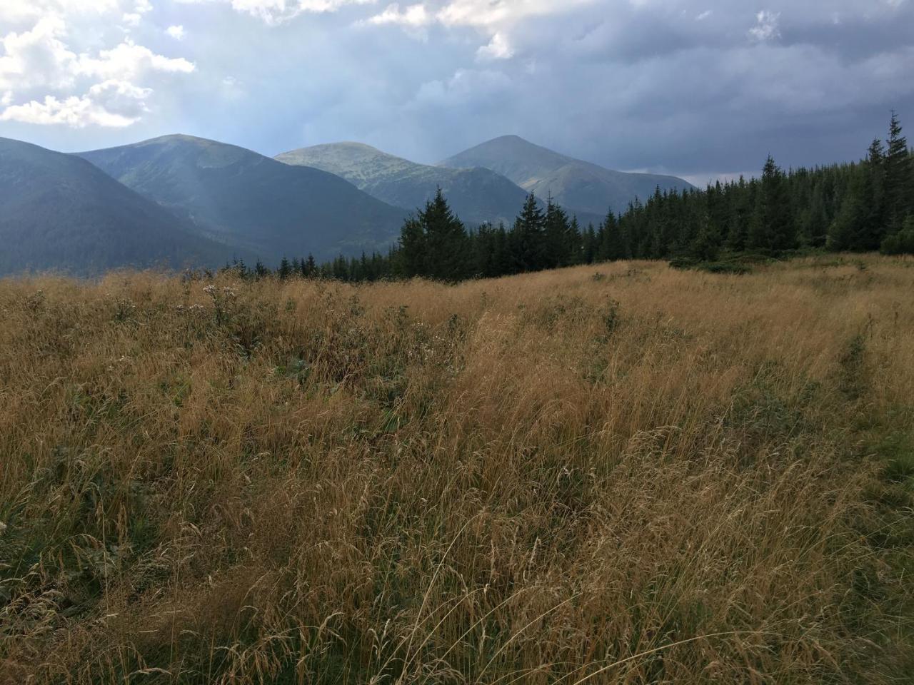 Барви Карпат Vorokhta Dış mekan fotoğraf